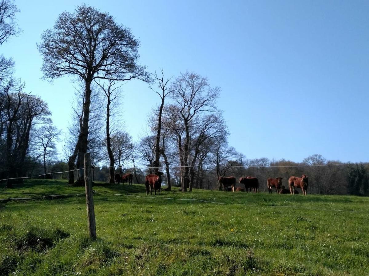 Le Valet, T2 Classé 3 étoiles, Entre Rennes Et Saint-malo